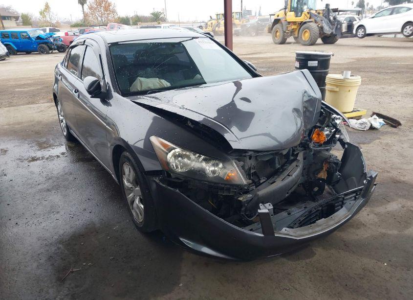 2008 Honda Accord 2.4 EX-L (VIN JHMCP26858C044764) main photo