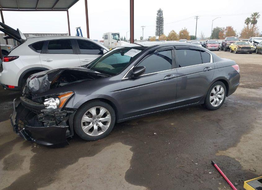 Photo 14 of 2008 Honda Accord 2.4 EX-L (VIN JHMCP26858C044764)