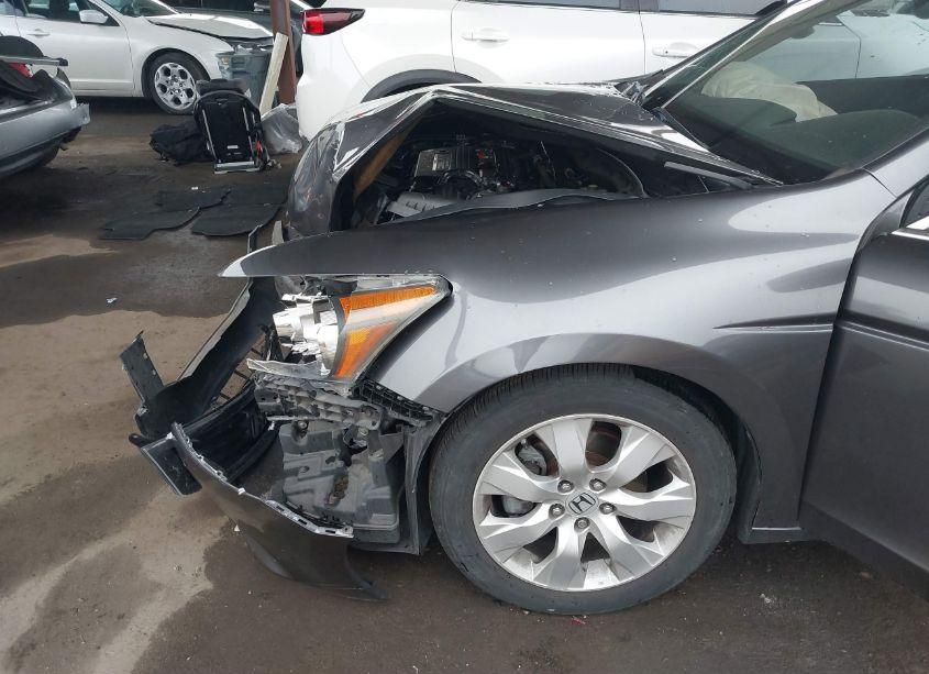 Photo 6 of 2008 Honda Accord 2.4 EX-L (VIN JHMCP26858C044764)