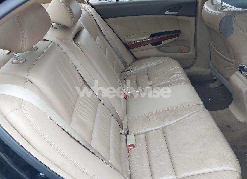 Photo 8 of 2008 Honda Accord 2.4 EX-L (VIN JHMCP26868C076719)