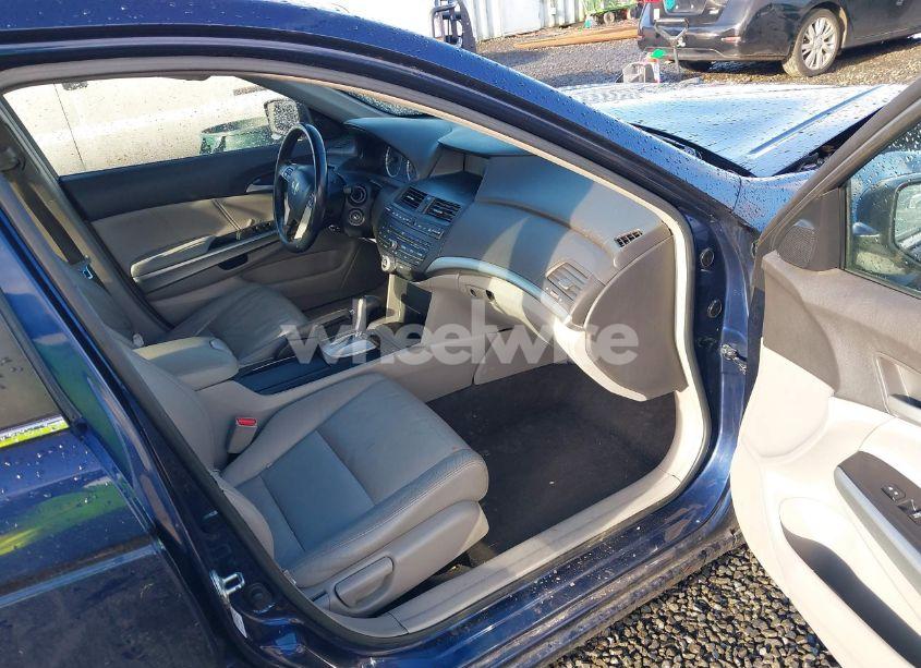 Photo 5 of 2009 Honda Accord 2.4 EX-L (VIN JHMCP26869C013556)