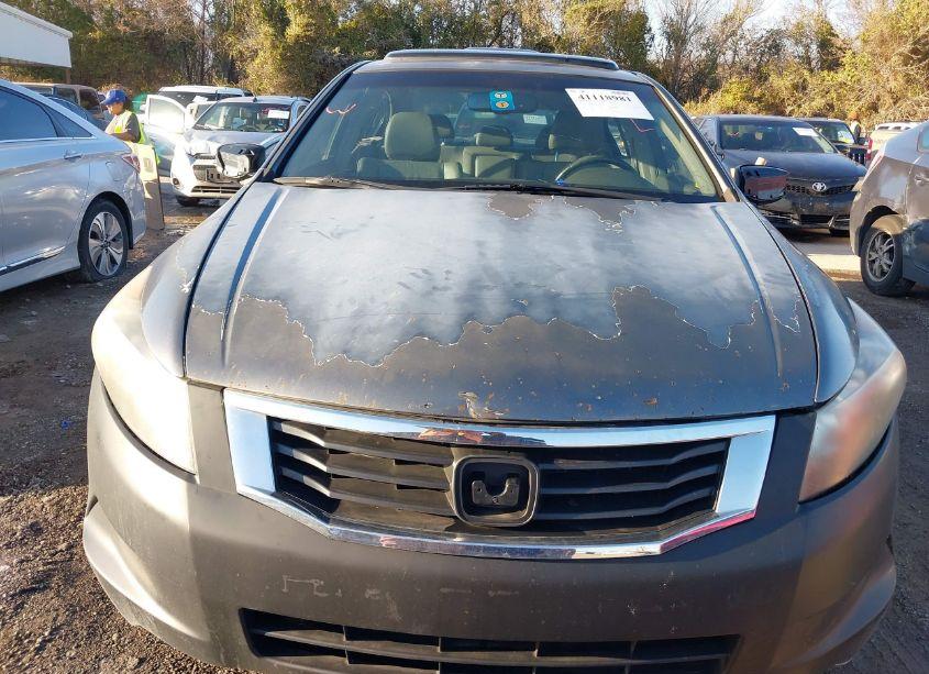 Photo 6 of 2008 Honda Accord 2.4 EX-L (VIN JHMCP26878C002192)