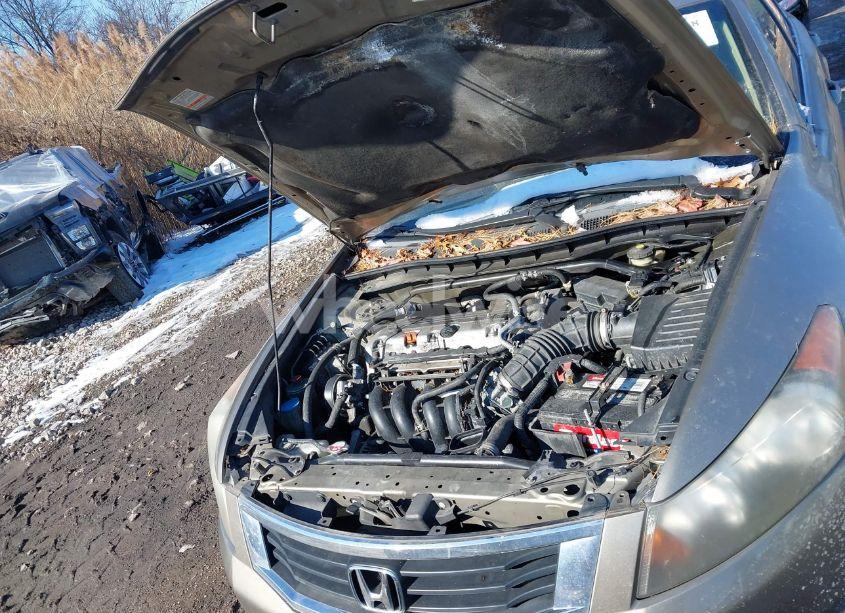 Photo 10 of 2008 Honda Accord 2.4 EX-L (VIN JHMCP26878C004895)