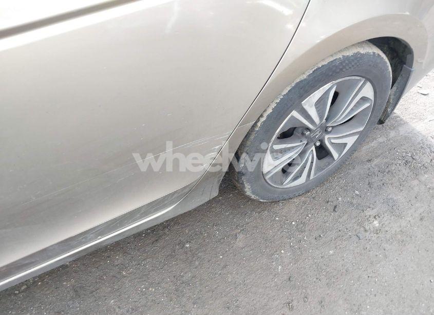 Photo 13 of 2008 Honda Accord 2.4 EX-L (VIN JHMCP26888C037680)