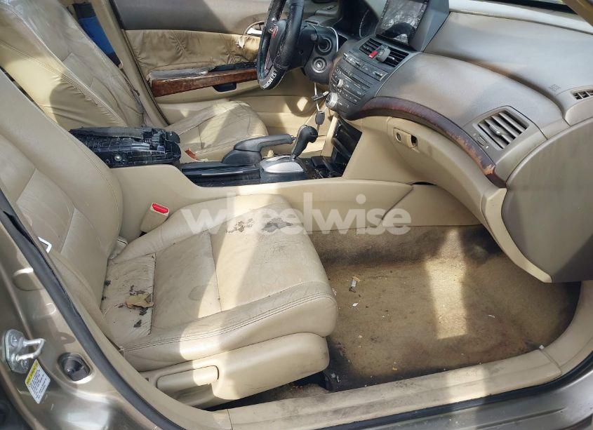 Photo 5 of 2008 Honda Accord 2.4 EX-L (VIN JHMCP26888C037680)