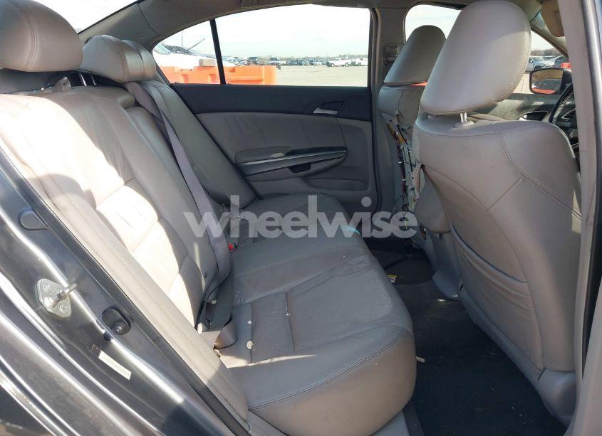 Photo 8 of 2008 Honda Accord 2.4 EX-L (VIN JHMCP26888C059436)