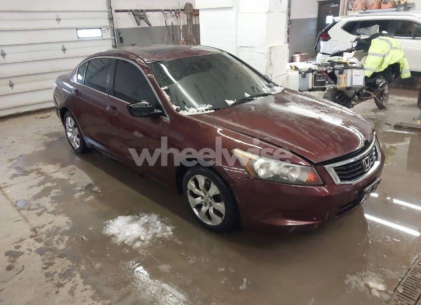 2008 Honda Accord 2.4 EX-L (VIN JHMCP26888C065091) main photo