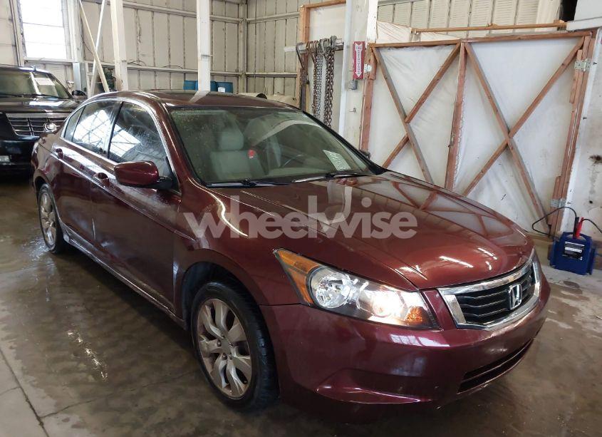 2008 Honda Accord 2.4 EX-L (VIN JHMCP26898C019740) main photo