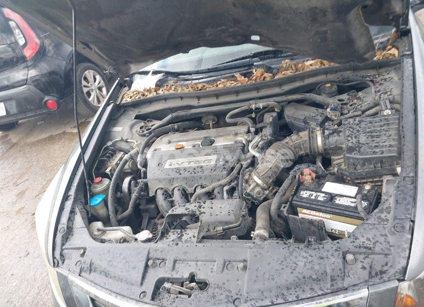 Photo 10 of 2008 Honda Accord 2.4 EX-L (VIN JHMCP26898C048834)