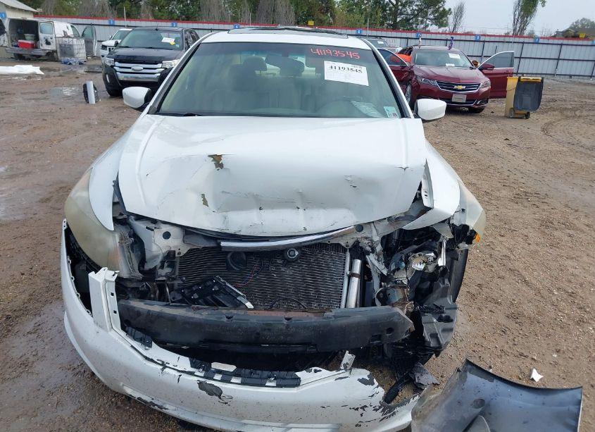 Photo 12 of 2008 Honda Accord 2.4 EX-L (VIN JHMCP26898C050969)