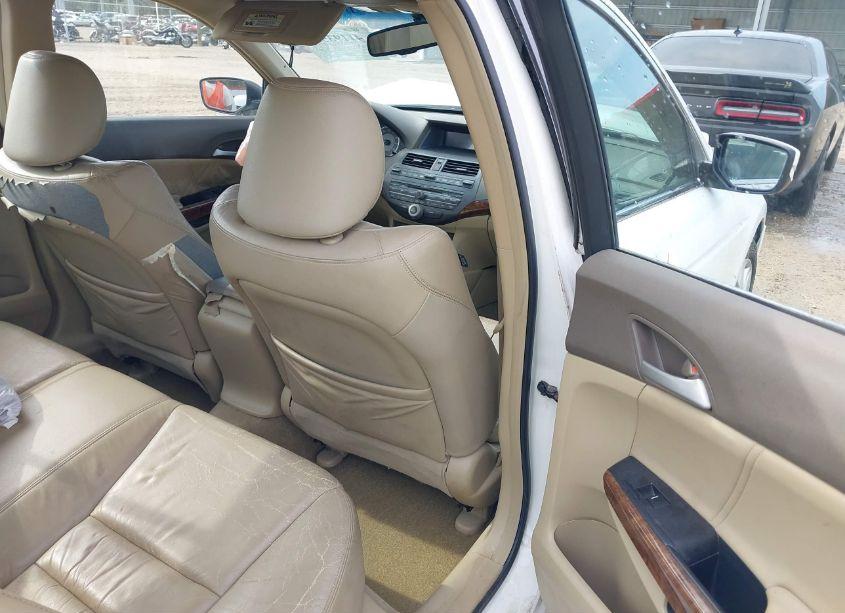 Photo 8 of 2008 Honda Accord 2.4 EX-L (VIN JHMCP26898C050969)