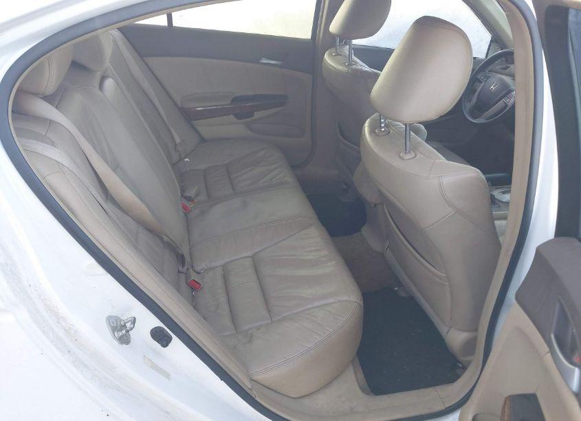 Photo 8 of 2008 Honda Accord 2.4 EX-L (VIN JHMCP268X8C053623)