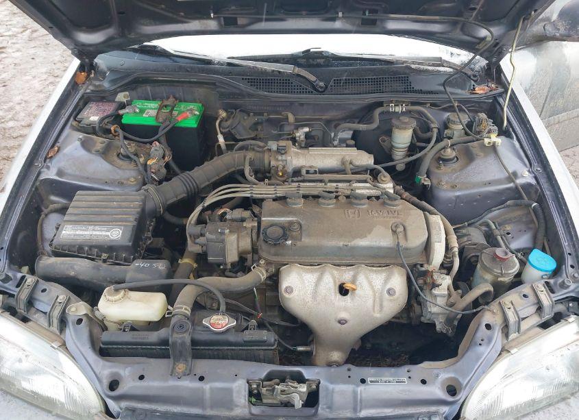 Photo 10 of 1995 Honda Civic DX/LX (VIN JHMEG8542SS011230)