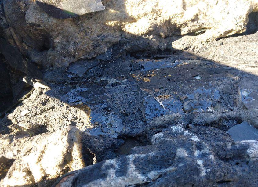 Photo 7 of 2009 Honda Civic HYBRID (VIN JHMFA36259S001906)