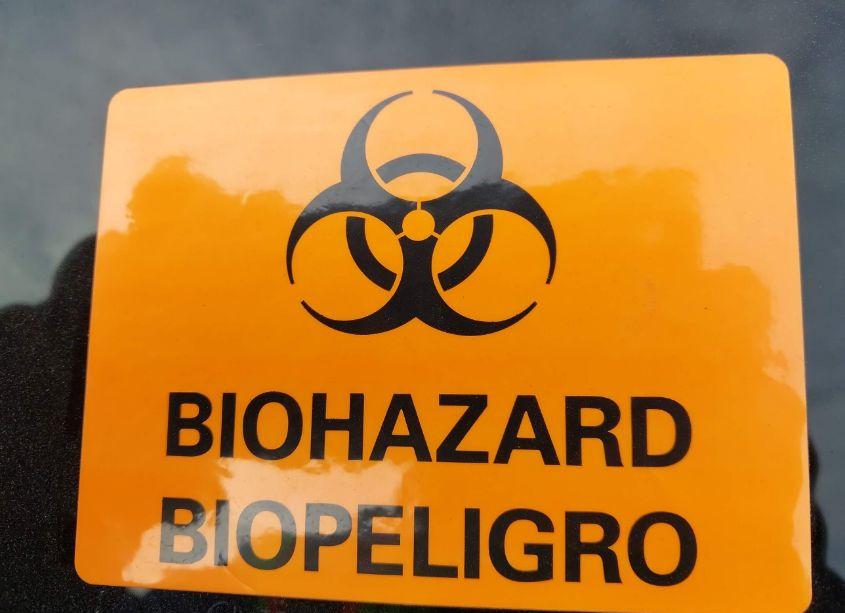 Photo 14 of 2008 Honda Fit SPORT (VIN JHMGD38668S047061)