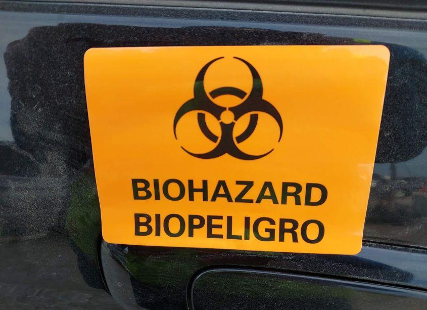 Photo 8 of 2008 Honda Fit SPORT (VIN JHMGD38668S047061)