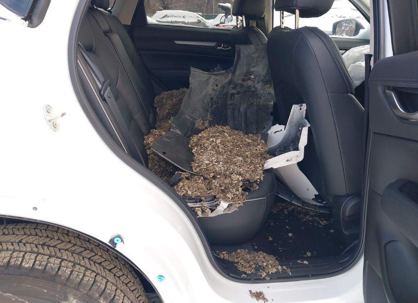 Photo 8 of 2024 Mazda Cx-5 2.5 S SELECT (VIN JM3KFBBL9R0525878)