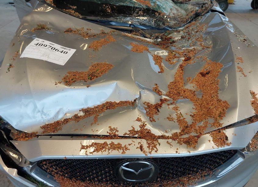 Photo 9 of 2021 Mazda Cx-5 TOURING (VIN JM3KFBCM4M0415613)