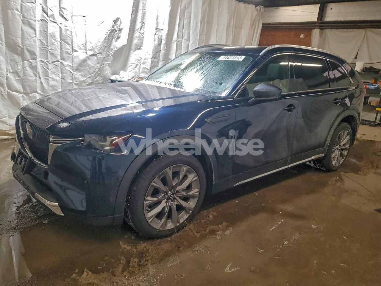 2024 MAZDA CX-90 PREMIUM (VIN JM3KKDHD3R1165234) main photo