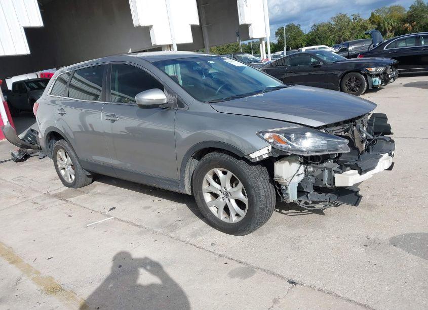 2013 Mazda Cx-9 SPORT (VIN JM3TB2BA6D0424031) main photo