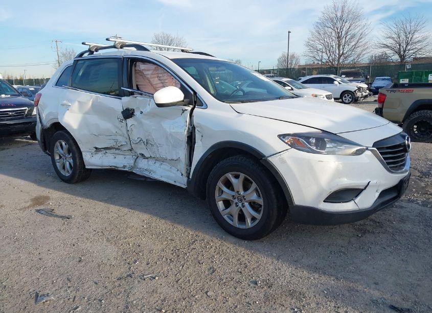 2014 Mazda Cx-9 SPORT (VIN JM3TB2BV1E0438228) main photo