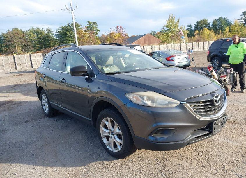 2013 Mazda Cx-9 SPORT (VIN JM3TB3BV3D0417675) main photo
