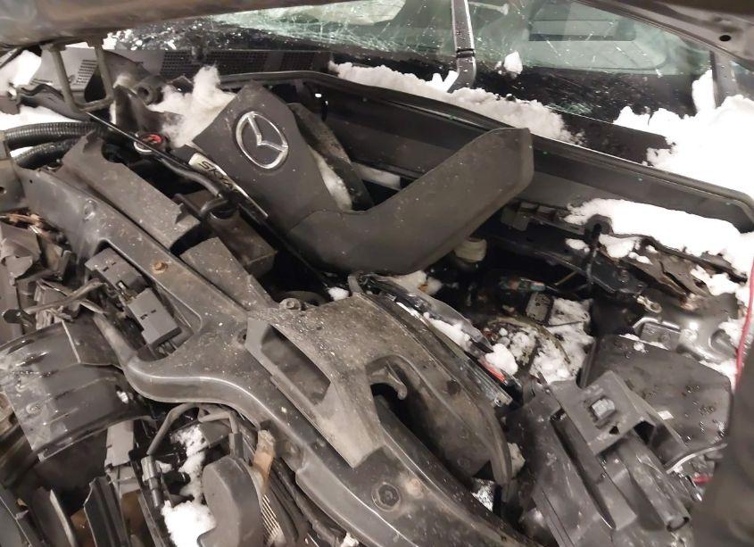 Photo 10 of 2017 Mazda Cx-9 SIGNATURE (VIN JM3TCBEY9H0140985)