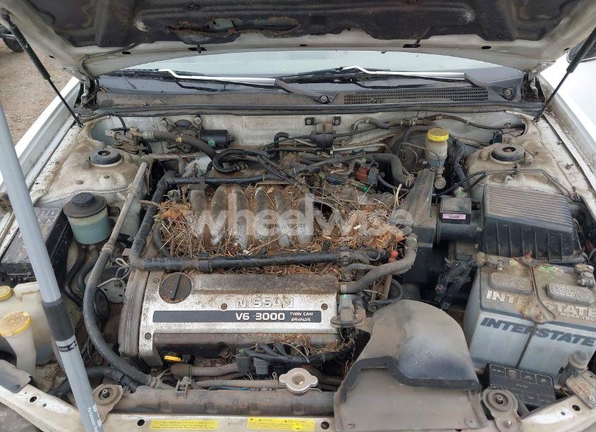 Photo 10 of 1999 Nissan Maxima GLE/GXE/SE/SE-L (VIN JN1CA21D7XT811913)