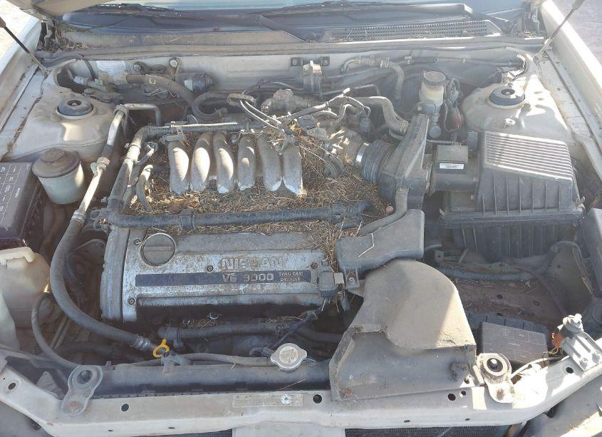 Photo 10 of 1996 Nissan Maxima GLE/GXE/SE (VIN JN1CA21D8TT125325)