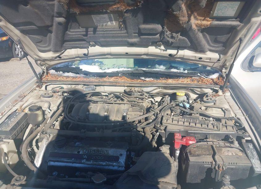 Photo 10 of 2001 Nissan Maxima SE (VIN JN1CA31D21T621448)