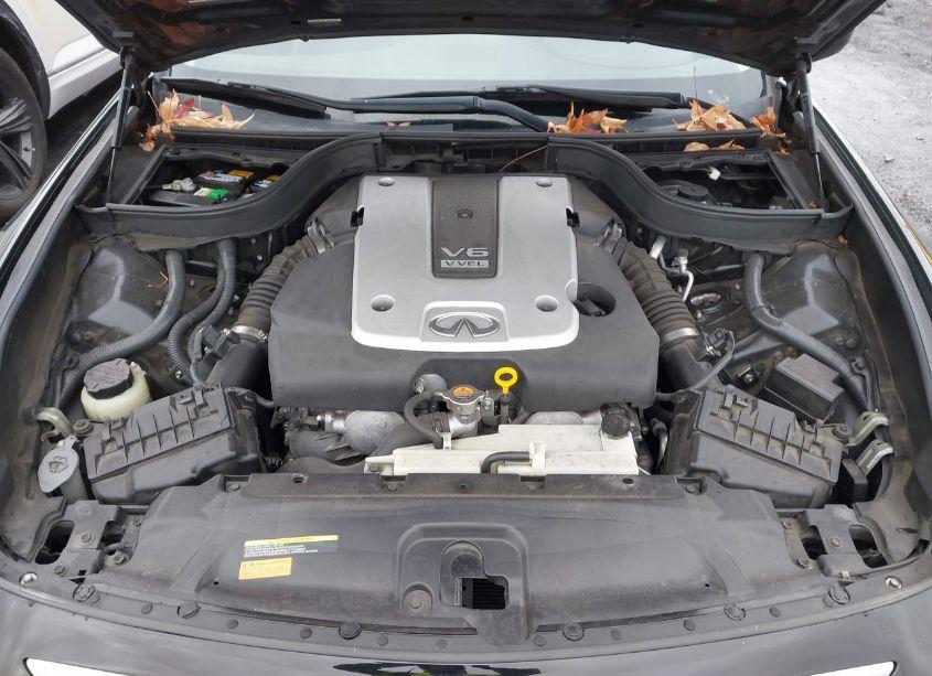 Photo 10 of 2011 Infiniti G37 JOURNEY (VIN JN1CV6AP1BM506934)