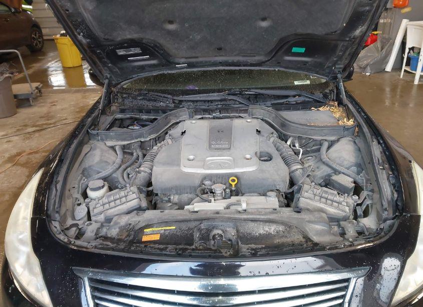 Photo 10 of 2013 Infiniti G37 JOURNEY (VIN JN1CV6AP1DM718994)