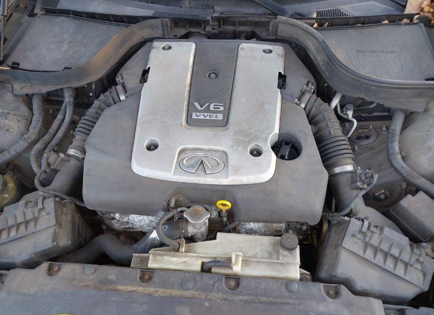 Photo 10 of 2010 Infiniti G37 JOURNEY (VIN JN1CV6AP4AM408303)