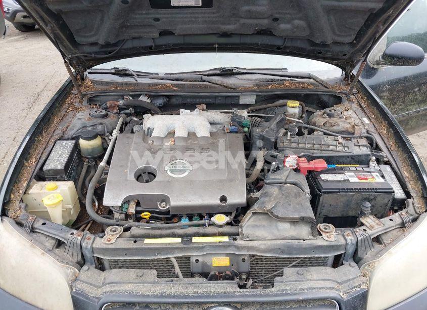 Photo 10 of 2003 Nissan Maxima SE (VIN JN1DA31A93T413922)