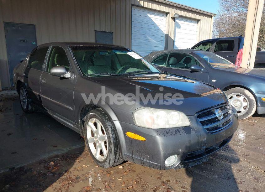 2002 Nissan Maxima SE (VIN JN1DA31D02T429192) main photo