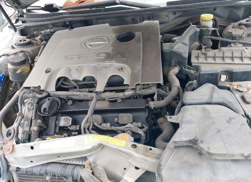 Photo 10 of 2002 Nissan Maxima GXE (VIN JN1DA31D12T202867)