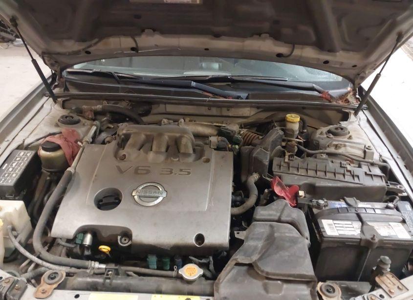 Photo 10 of 2002 Nissan Maxima SE (VIN JN1DA31D32T205799)