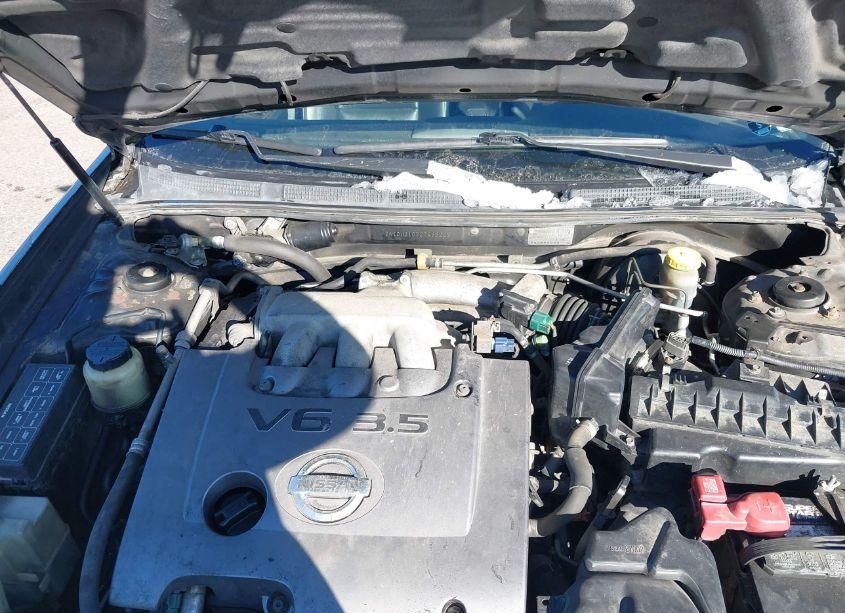 Photo 10 of 2002 Nissan Maxima GLE (VIN JN1DA31D72T435202)