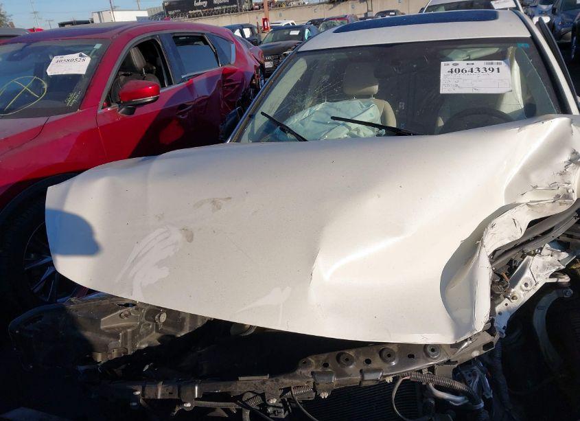 Photo 11 of 2020 Infiniti Q50 LUXE (VIN JN1EV7AP7LM203981)