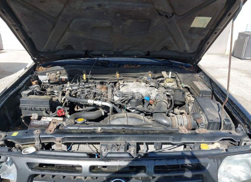 Photo 10 of 1998 Nissan Pathfinder LE/SE/XE (VIN JN8AR05Y8WW262724)