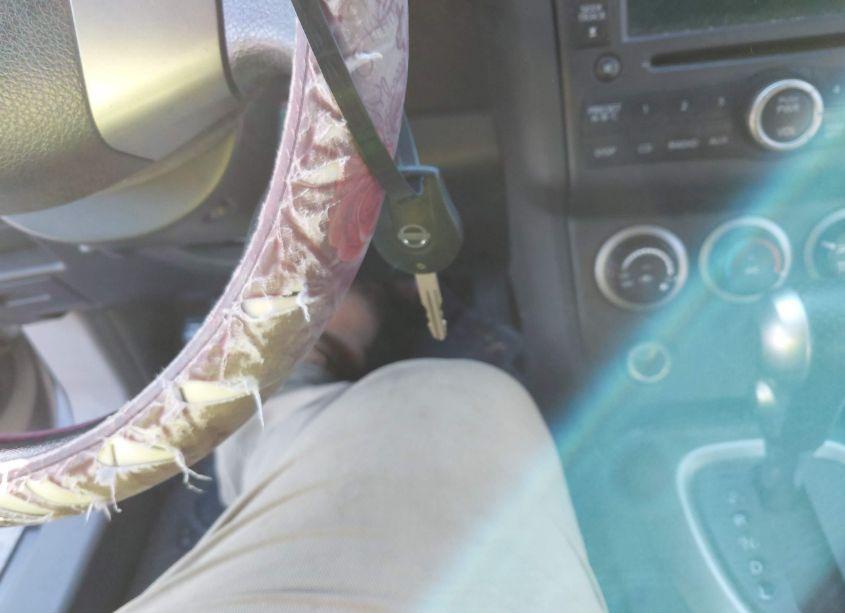 Photo 11 of 2010 Nissan Rogue SL (VIN JN8AS5MV8AW103915)