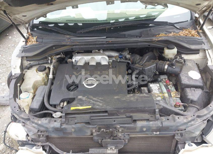Photo 10 of 2006 Nissan Murano SL (VIN JN8AZ08T66W417450)