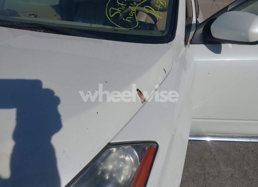 Photo 7 of 2006 Nissan Murano SL (VIN JN8AZ08W66W551675)