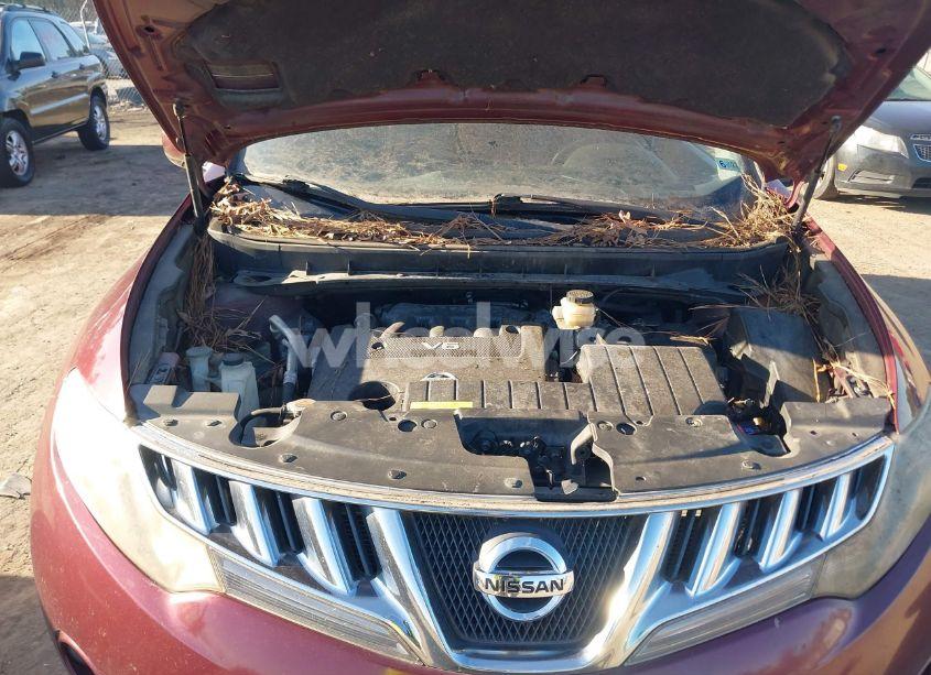 Photo 2 of 2010 Nissan Murano SL (VIN JN8AZ1MW3AW124863)