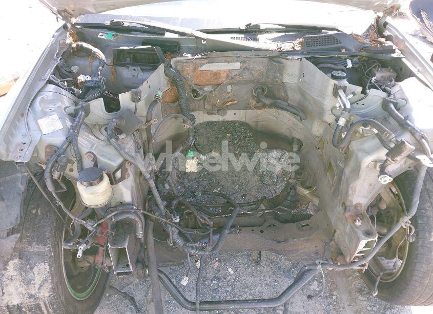 Photo 10 of 2003 Infiniti G35 (VIN JNKCV54E73M201715)