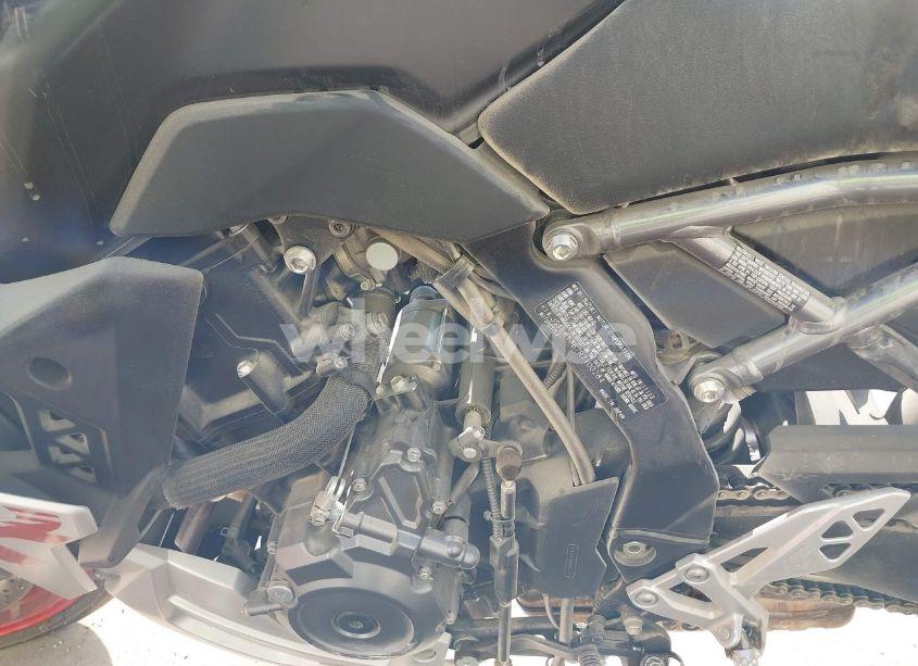 2024 Suzuki Gsx800 F (VIN JS1EM13B7R7100284) main photo