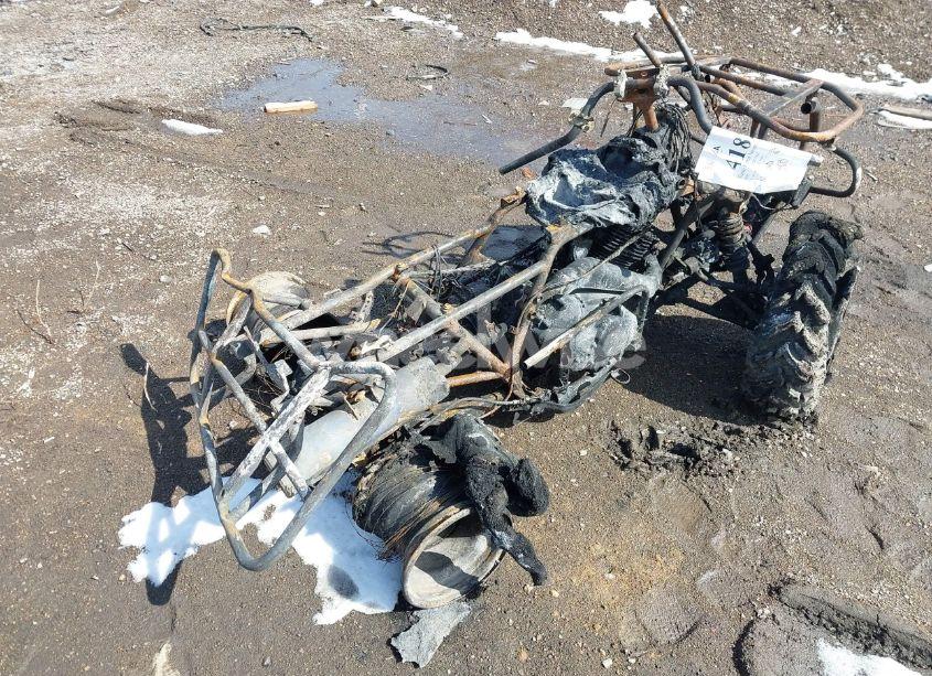 Photo 4 of 2002 Suzuki Ltf250 N/A (VIN JSAAJ51A42211948)