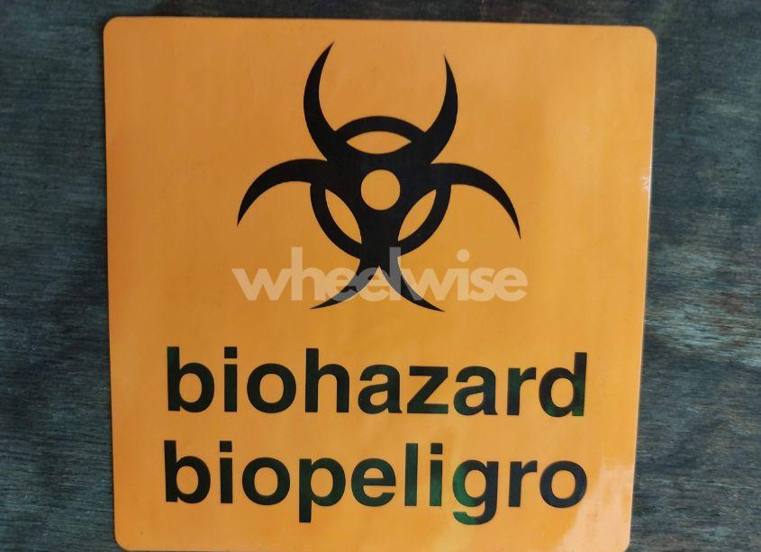 Photo 11 of 1999 Toyota 4runner LIMITED V6 (VIN JT3HN87R4X0255739)