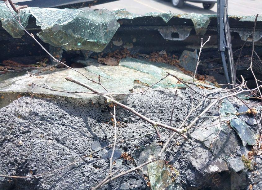 Photo 7 of 1993 Toyota T100 (VIN JT4VD10A7P0013959)