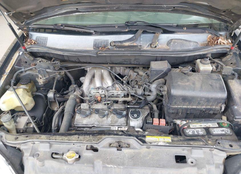 Photo 10 of 1999 Lexus Rx 300 (VIN JT6GF10U7X0024545)